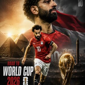 football 13
